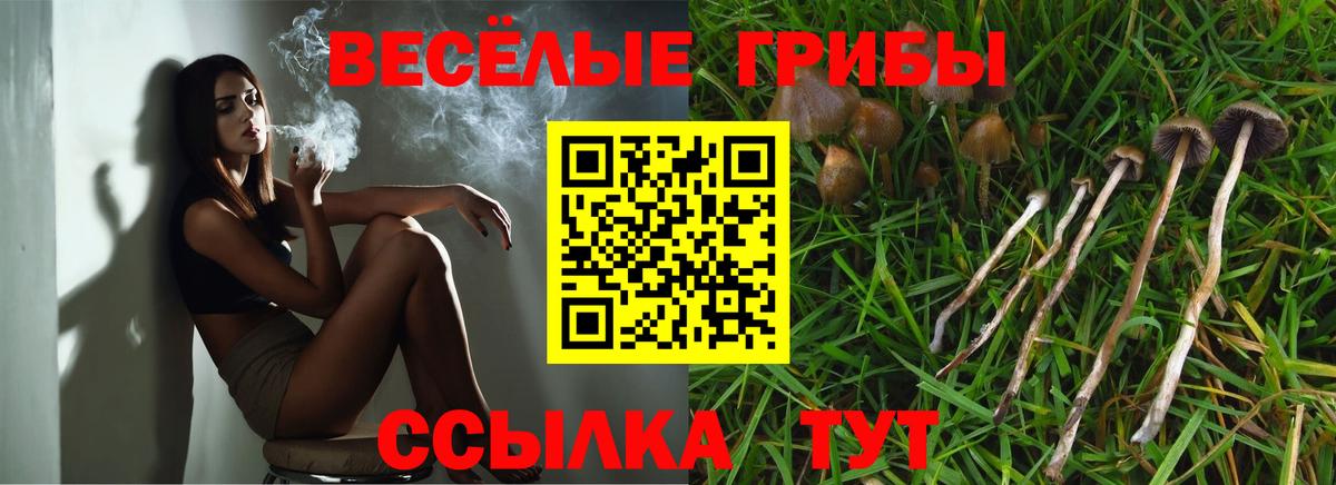 Галлюциногенные грибы GOLDEN TEACHER  Псилоцибиновые грибы GOLDEN TEACHER  Дубна  Вход с VPN 