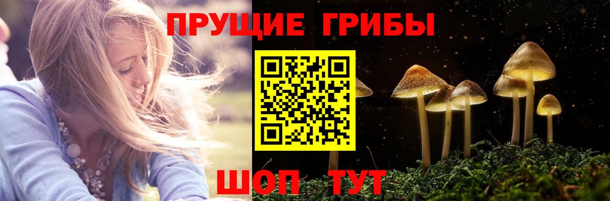 Псилоцибиновые грибы мухоморы Дубна