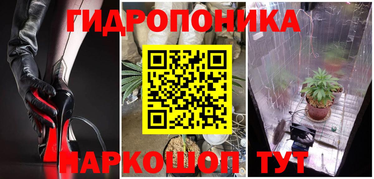 Канабис план Дубна